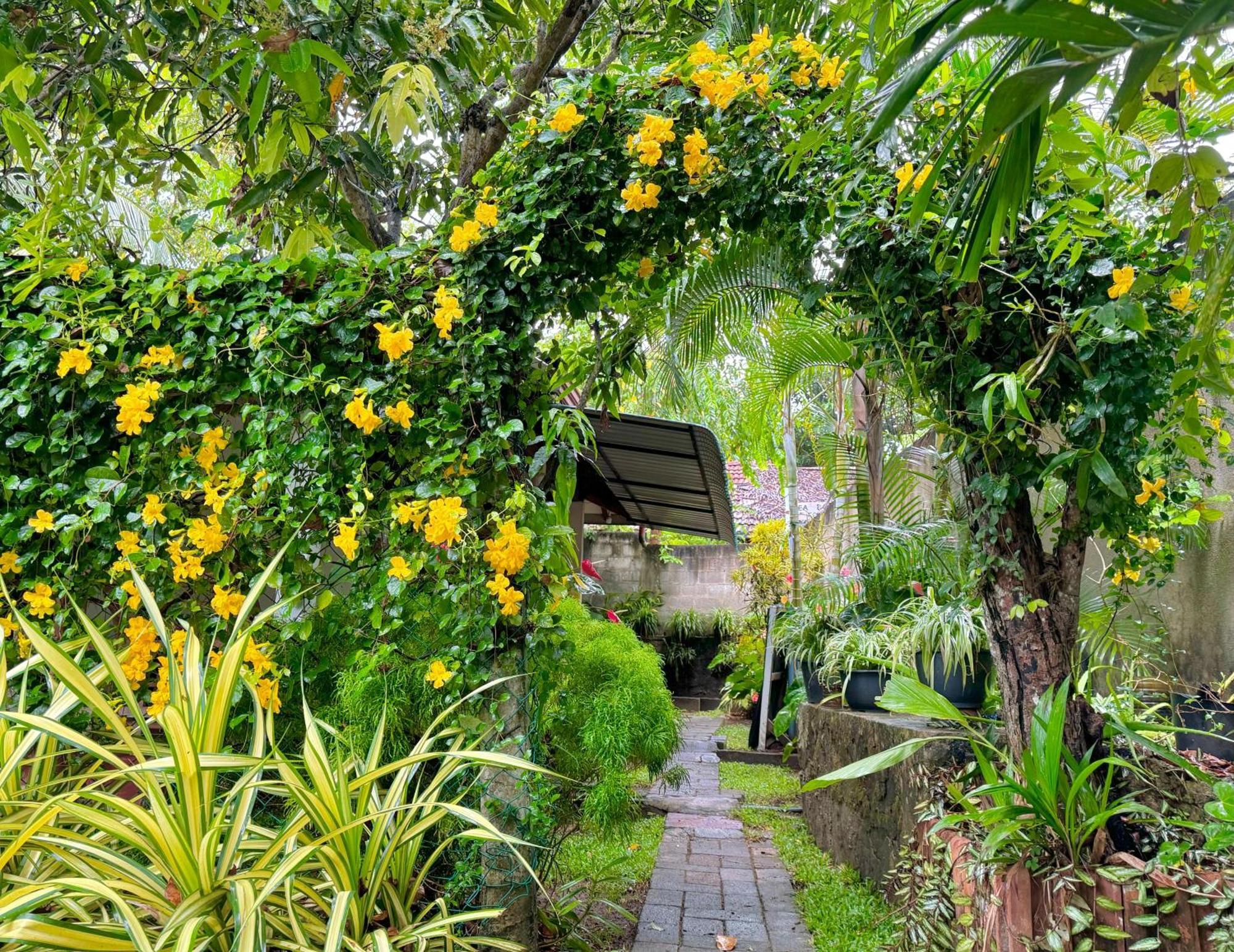 Nethmi Homestay & Restaurant Tangalle Kültér fotó