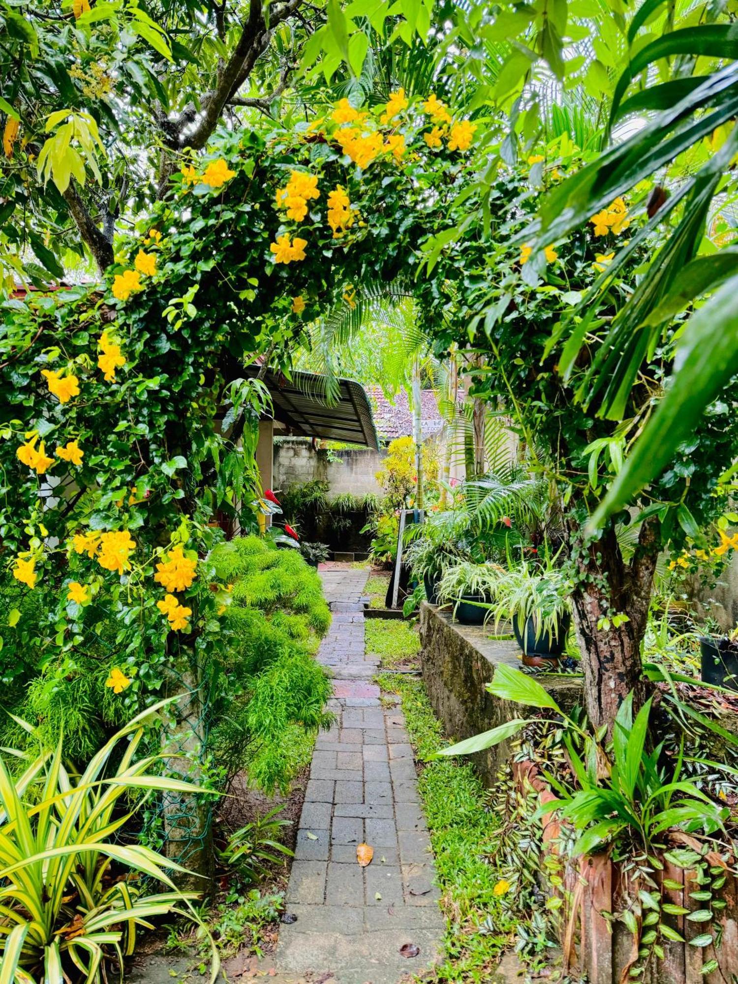 Nethmi Homestay & Restaurant Tangalle Kültér fotó