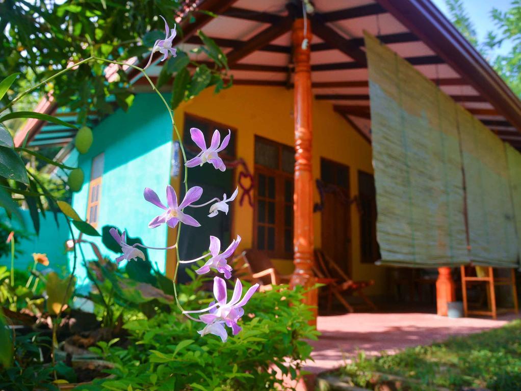 Nethmi Homestay & Restaurant Tangalle Kültér fotó